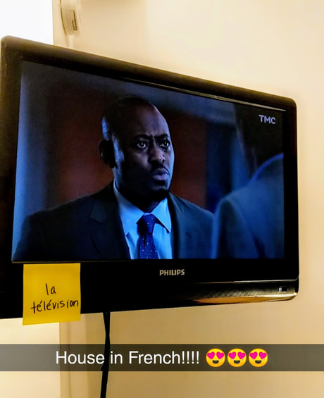 Dr. House on French TV